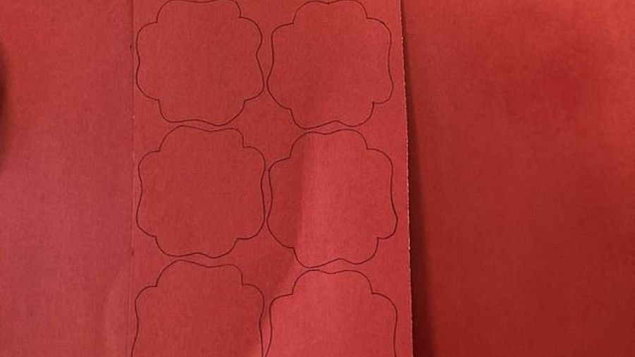 У мережі обговорюють нову оптичну ілюзію з маками