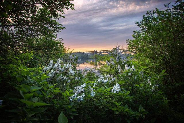 Мальовнича природа Хортиці в яскравих пейзажах - фото 287878