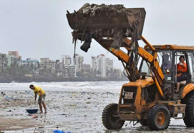 Цей чоловік самотужки очистив цілий пляж від сміття: фото - фото 288375