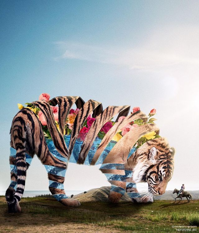 Аде Маолана створює казкові знімки - фото 288830