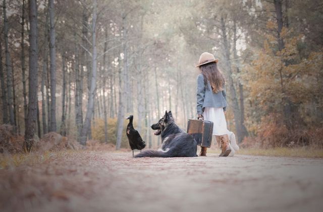 Незвичайна дружби вівчарки та качки - фото 287270