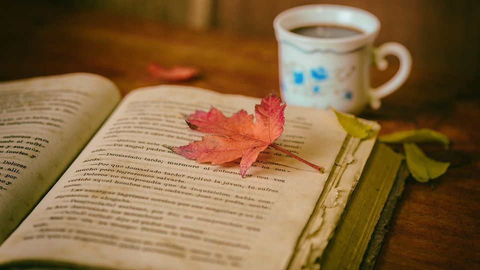 5 нових книг, які здивують вас несподіваним фіналом