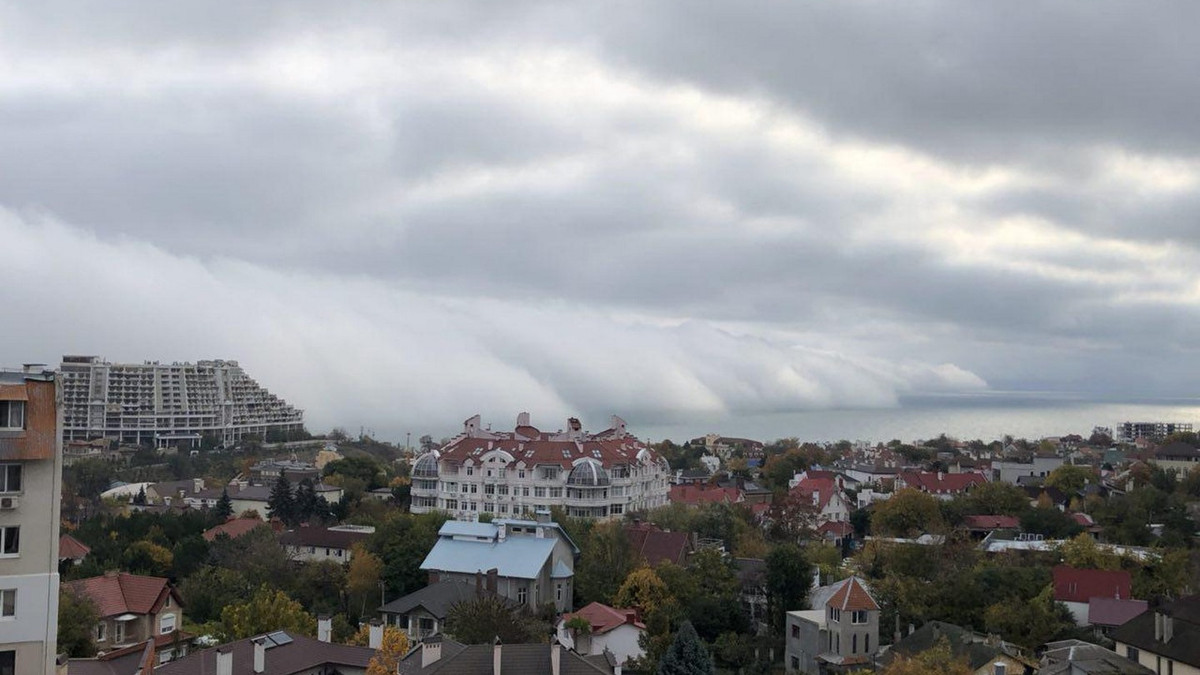 Туман в Одесі - фото 1