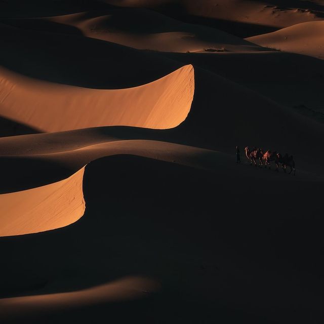 Кочівне життя Монголії - фото 287027