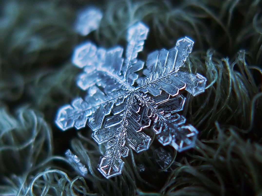 Кумедне дослідження: свіжий сніг можна їсти