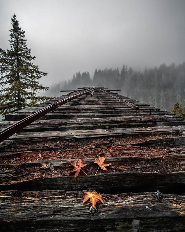 Забуті місця в Америці, які поглинає природа - фото 287012