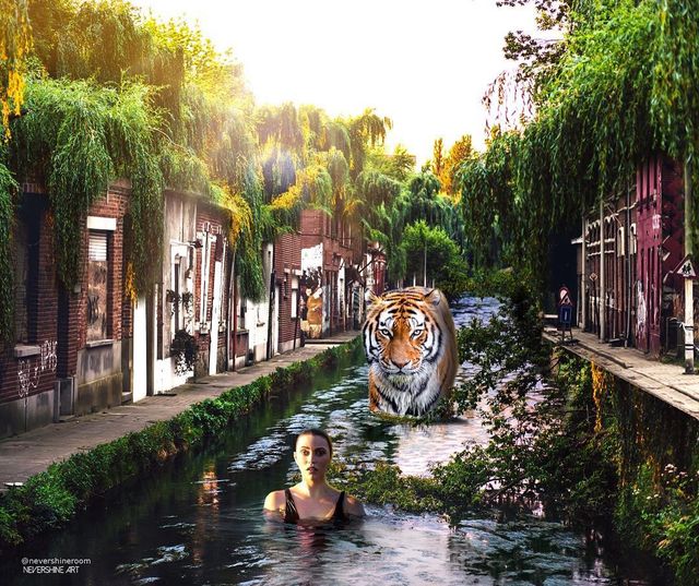 Аде Маолана створює казкові знімки - фото 288820