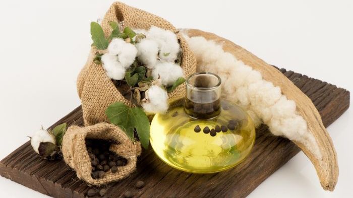 Ось чому бавовняна олія корисна для чоловіків