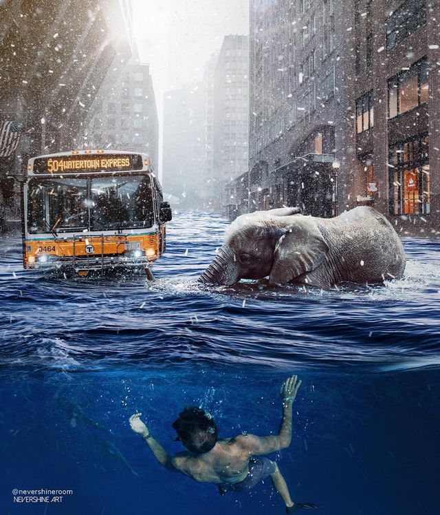 Аде Маолана створює казкові знімки - фото 288821