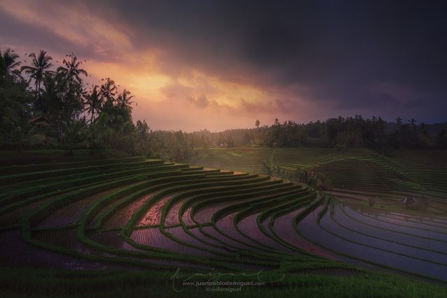 Захопливі подорожі світом, від яких перехоплює подих - фото 292574