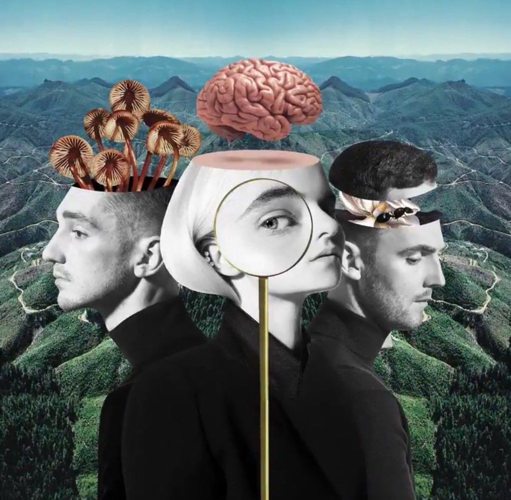 Clean Bandit випустили альбом What Is Love: слухати всі пісні онлайн