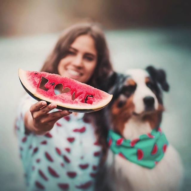 Собаки та подорожі: затишні фото, які змушують усміхнутись - фото 292852