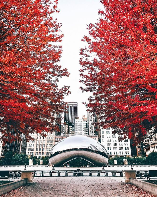 Захопливі фото міст в об'єктиві Ніла Кумара: атмосферні кадри - фото 293170