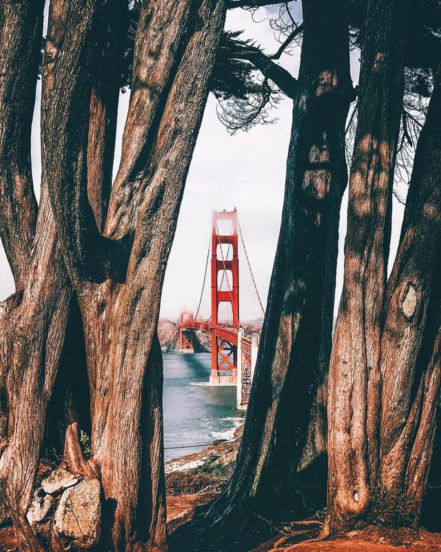 Захопливі фото міст в об'єктиві Ніла Кумара: атмосферні кадри - фото 293172