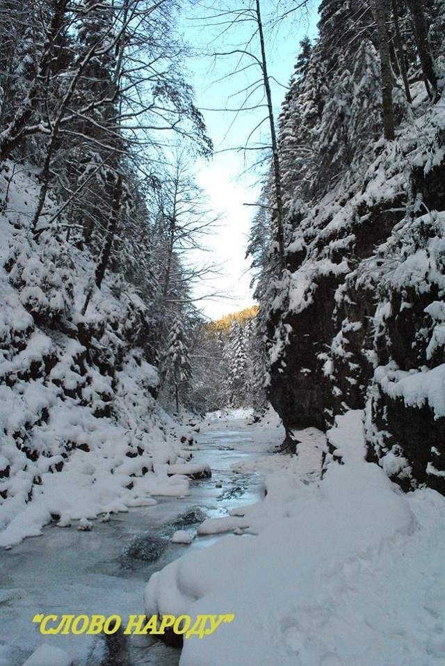У Карпатах повністю замерз водоспад: казкові фото - фото 293284