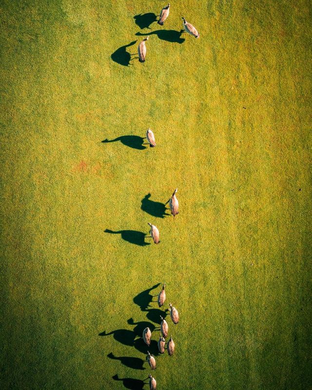 Пейзажі світу з висоти пташиного польоту: ефектні фото - фото 293376