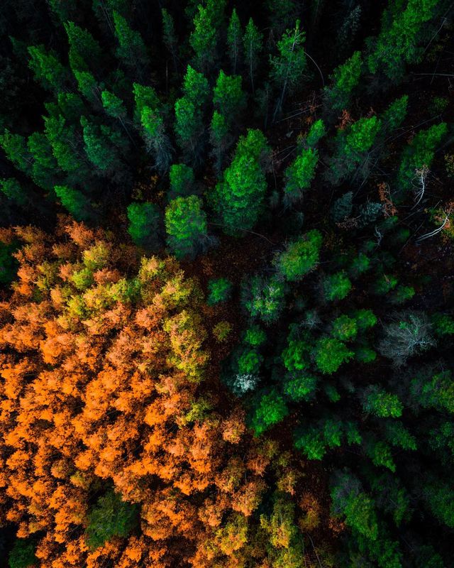 Пейзажі світу з висоти пташиного польоту: ефектні фото - фото 293387