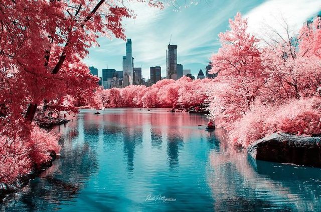 Італієць показує світ у нетипових кольорах: вражаючі фото - фото 293448