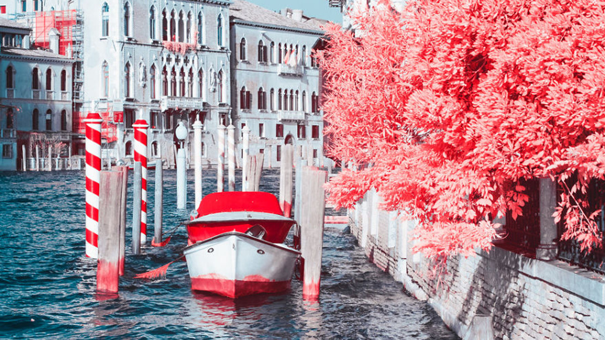 Незвичайний рожевий світ італійського фотографа - фото 1