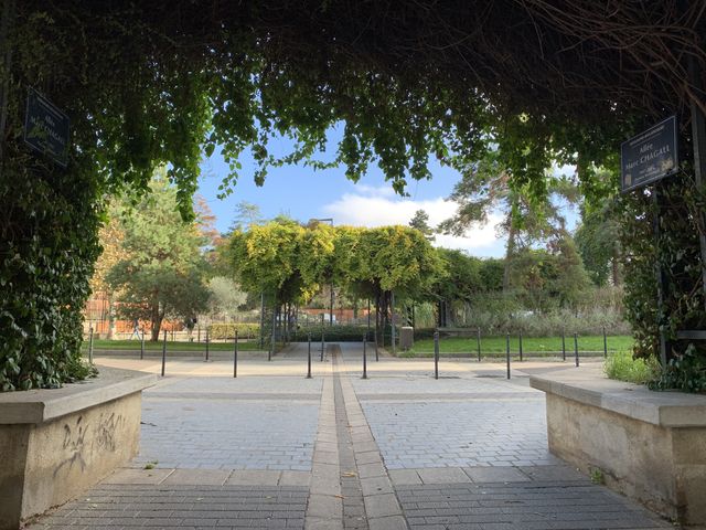 DxOMark назвав найкращий однокамерний смартфон - фото 293834