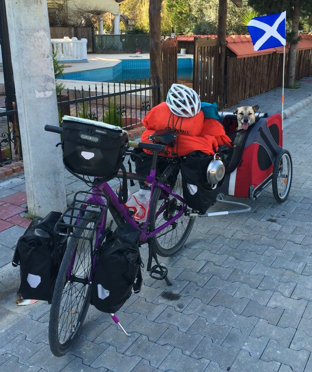 Ця британка мандрує світом на велосипеді, щоб рятувати собак - фото 293846