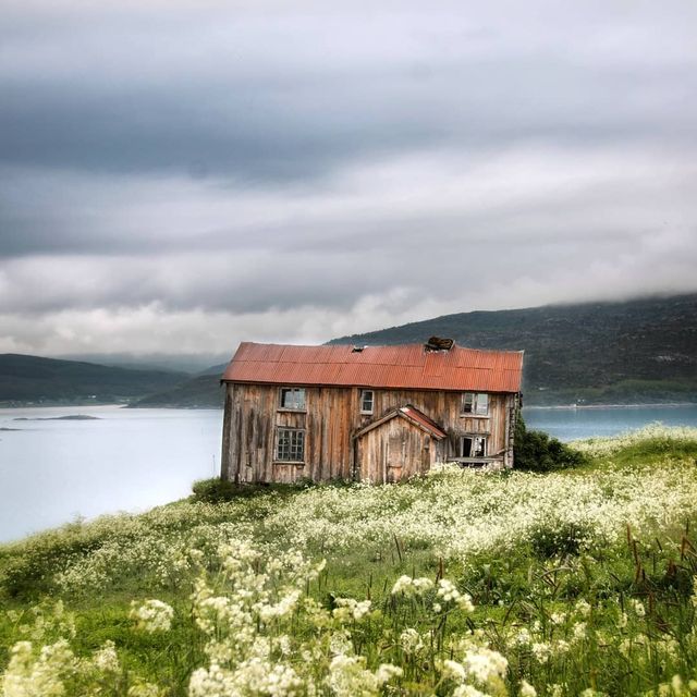 Так виглядає Норвегія за полярним колом: атмосферні знімки - фото 293951