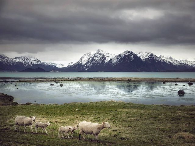 Так виглядає Норвегія за полярним колом: атмосферні знімки - фото 293955