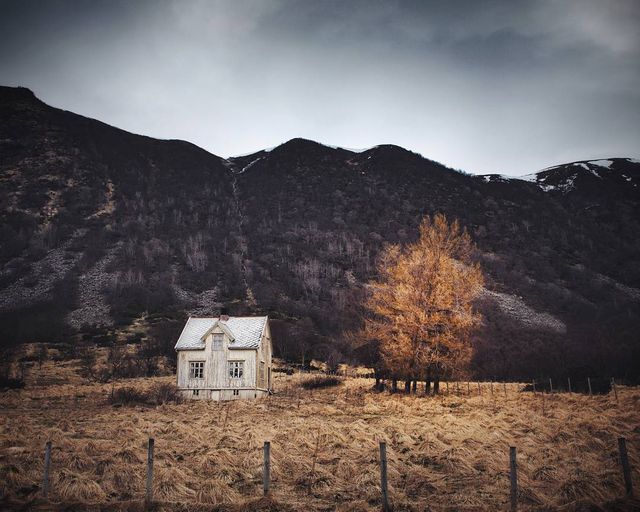 Так виглядає Норвегія за полярним колом: атмосферні знімки - фото 293959