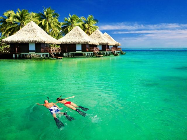 Новий рік на Шрі-Ланці- фото 294044