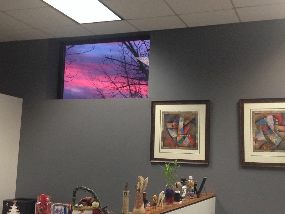 Найкраща "картина" в офісі викликала захват у мережі