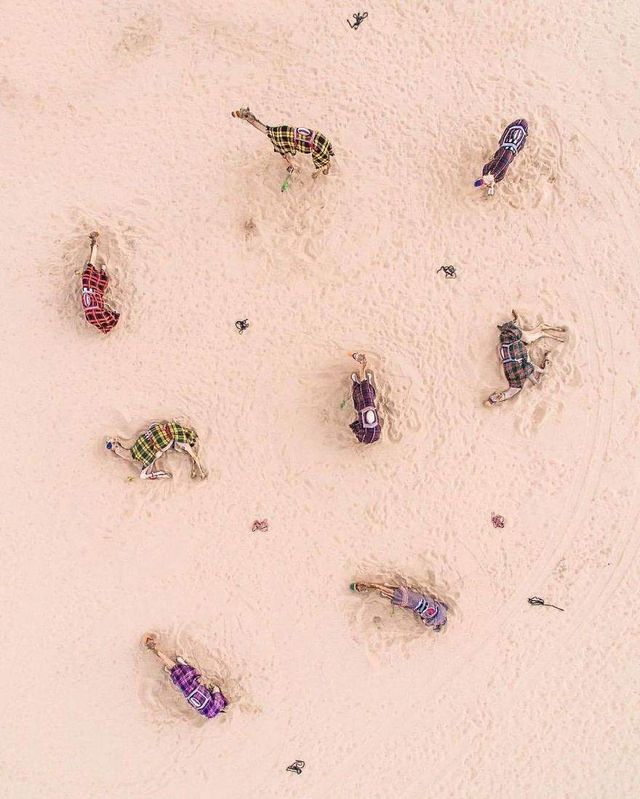 Фотограф показав, як піщані бурі перетворюють міста - фото 294429