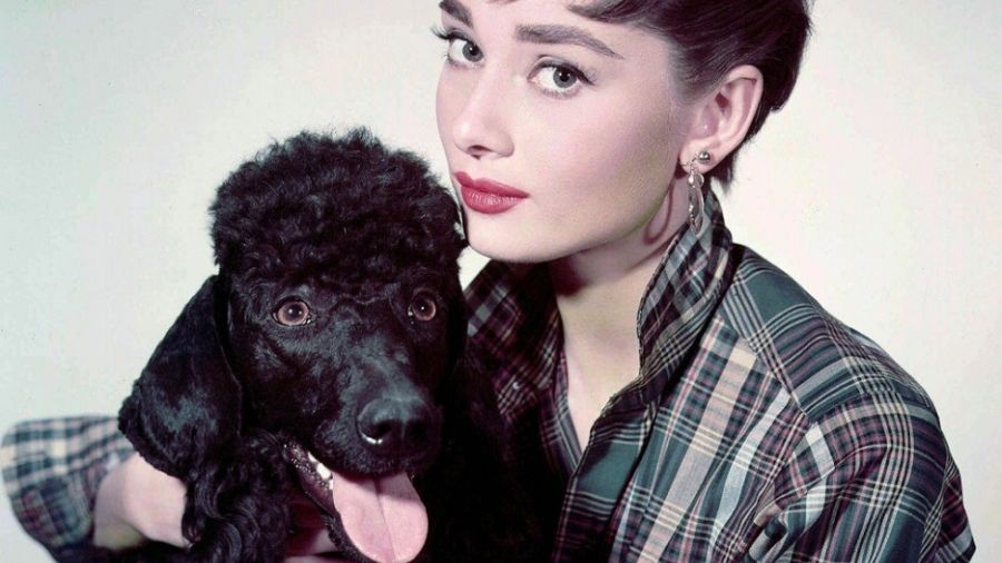 Одрі Хепберн – британська актриса - фото 1