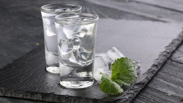 "Хортиця" - фото 1