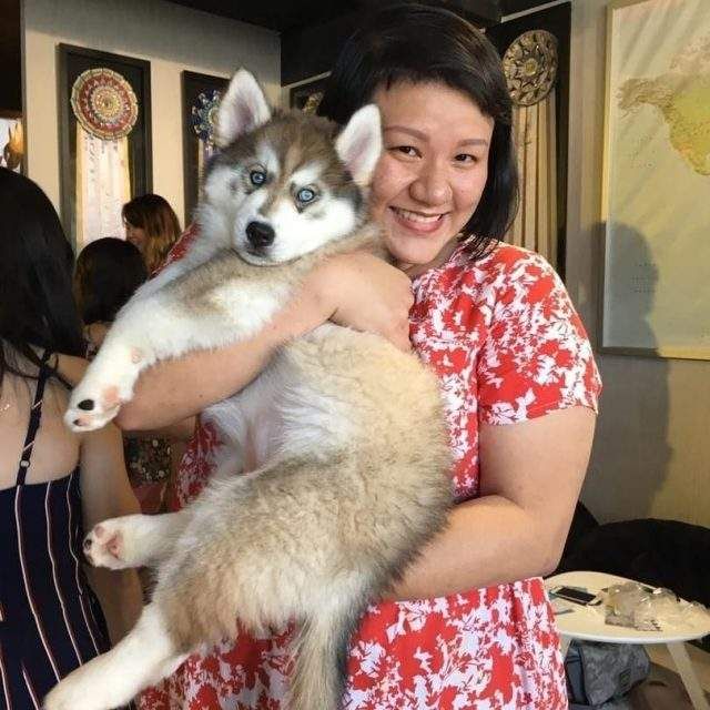 У Малайзії відкрили кафе для любителів хаскі - фото 295119