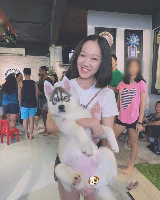 У Малайзії відкрили кафе для любителів хаскі - фото 295122