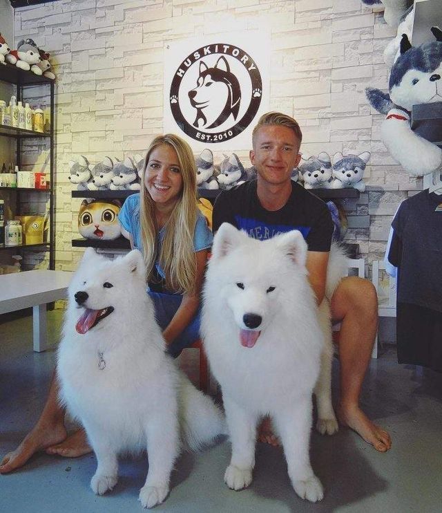 У Малайзії відкрили кафе для любителів хаскі - фото 295123