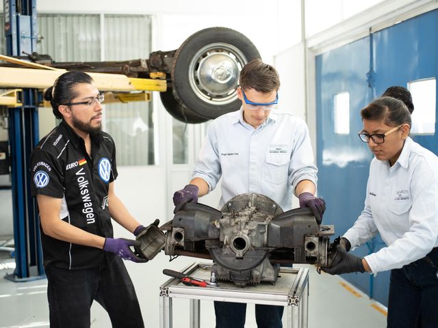 Volkswagen Beetle- фото 295283