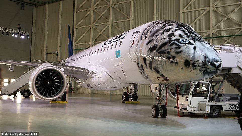 Air Astana представила літак з оригінальним принтом
