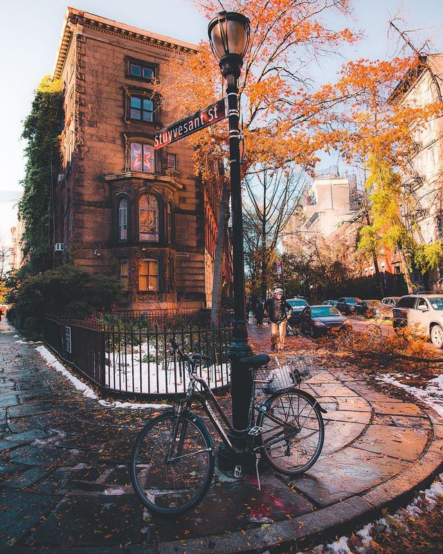 Захопливі мандрівки в об'єктиві Гіла Таміна: яскраві фото - фото 295366