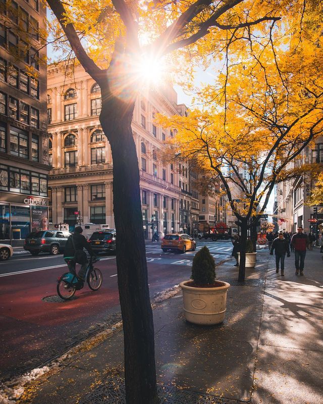 Захопливі мандрівки в об'єктиві Гіла Таміна: яскраві фото - фото 295374