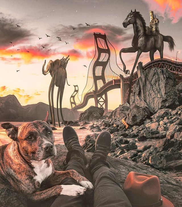 Неймовірний світ у роботах Джастіна Майна: ефектні фото - фото 295469