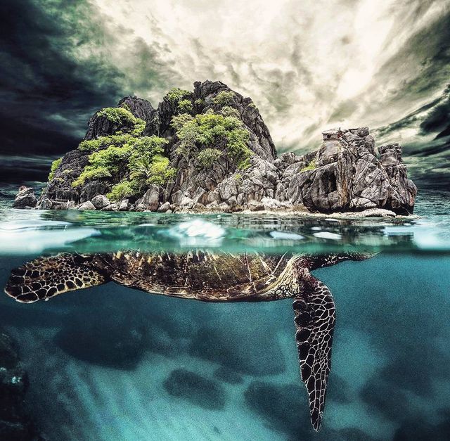 Неймовірний світ у роботах Джастіна Майна: ефектні фото - фото 295475