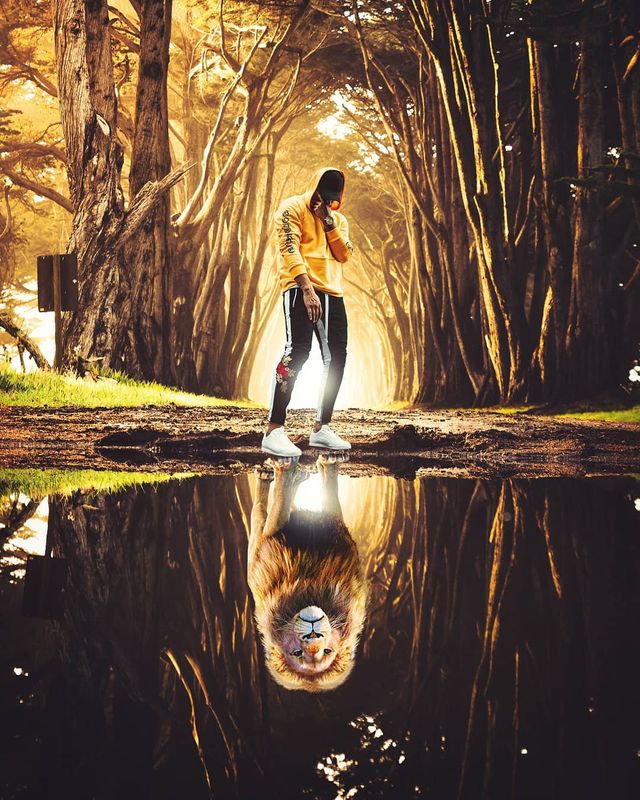 Неймовірний світ у роботах Джастіна Майна: ефектні фото - фото 295478