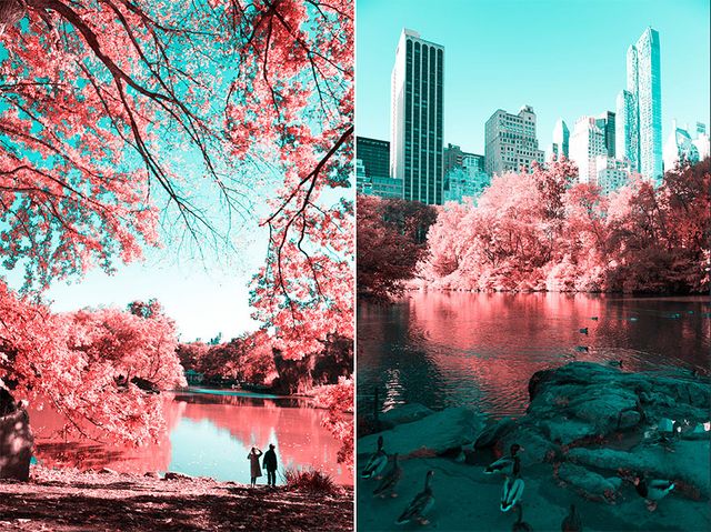 Наче в казці: італійський фотограф показує світ у незвичайних кольорах - фото 295538