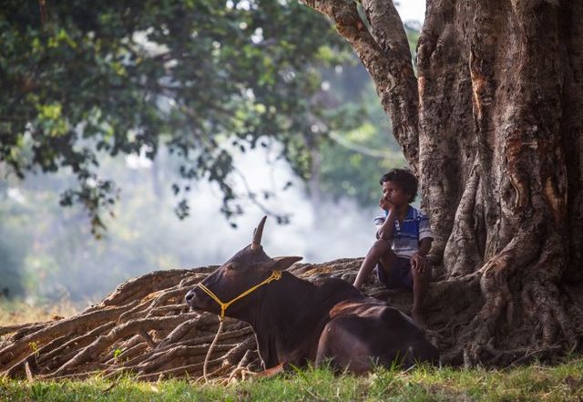 Представлено найкращі тревел-фото 2018 року з різних країн світ - фото 295563