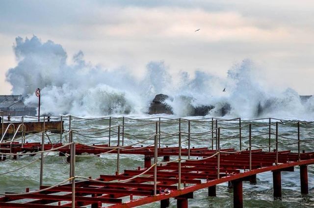 Зимовий шторм в Одесі: вражаючі фото - фото 295585