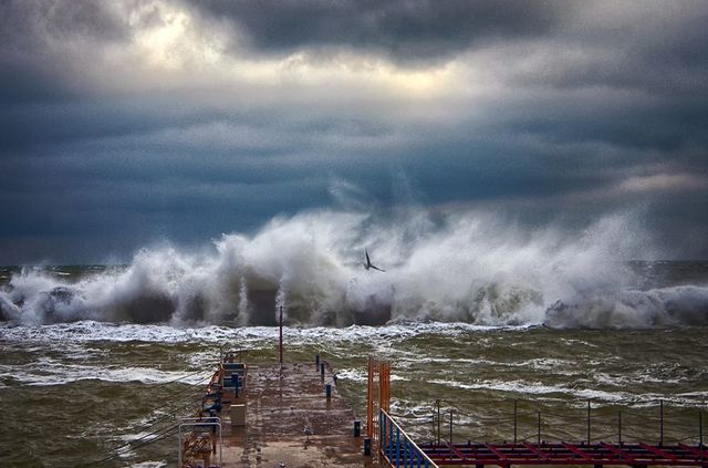 Зимовий шторм в Одесі: вражаючі фото - фото 295586