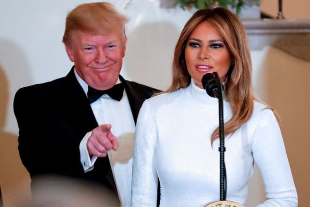 Меланія Трамп вийшла у світ в розкішному образі - фото 295751