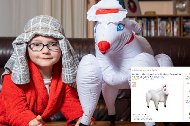 З секс-шопу: турботлива матуся купила своєму синочку надувну вівцю - фото 295776