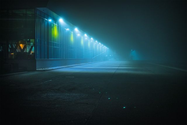 Ранковий Гамбург крізь туман: захопливі фото - фото 295998